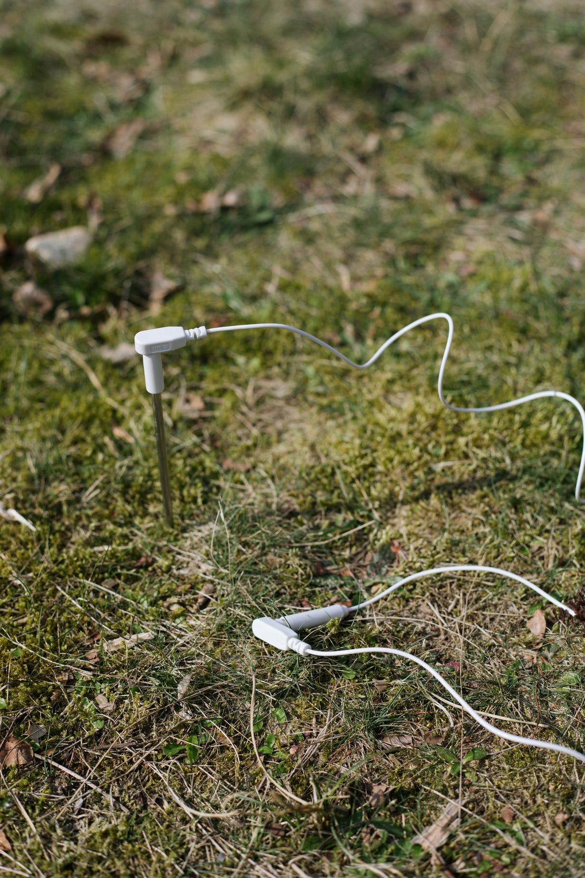 Piquet de terre Earthle planté dans l'herbe avec le câble de mise à la terre